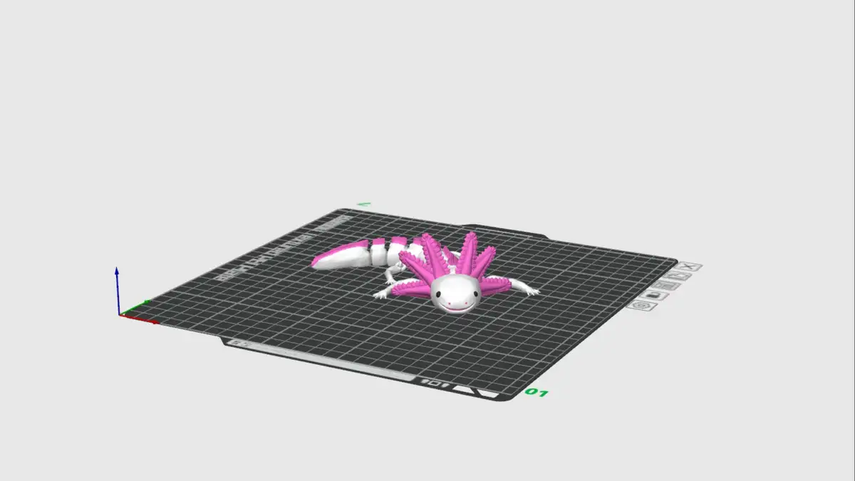 Modélisation 3D axolotl