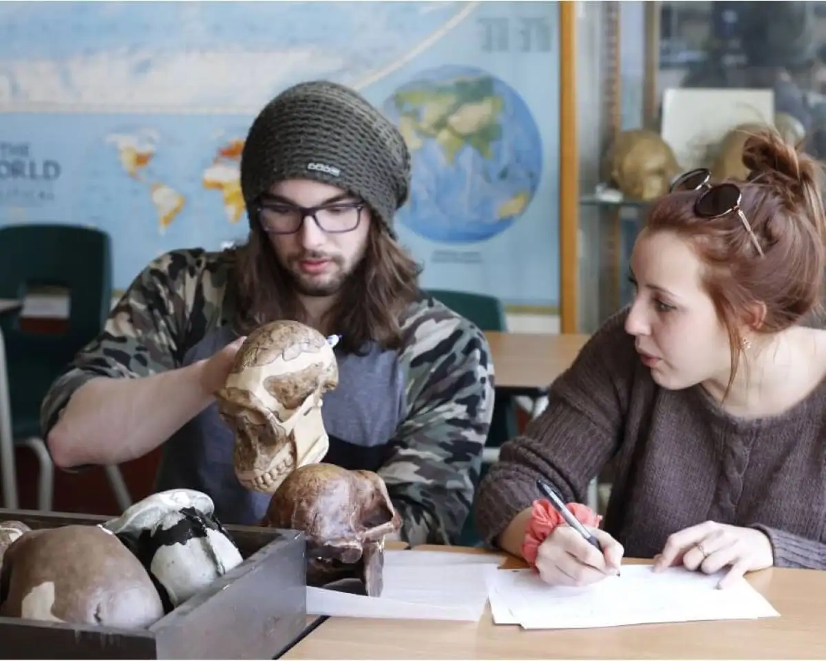 Personnes étudiantes qui manipulent un crane