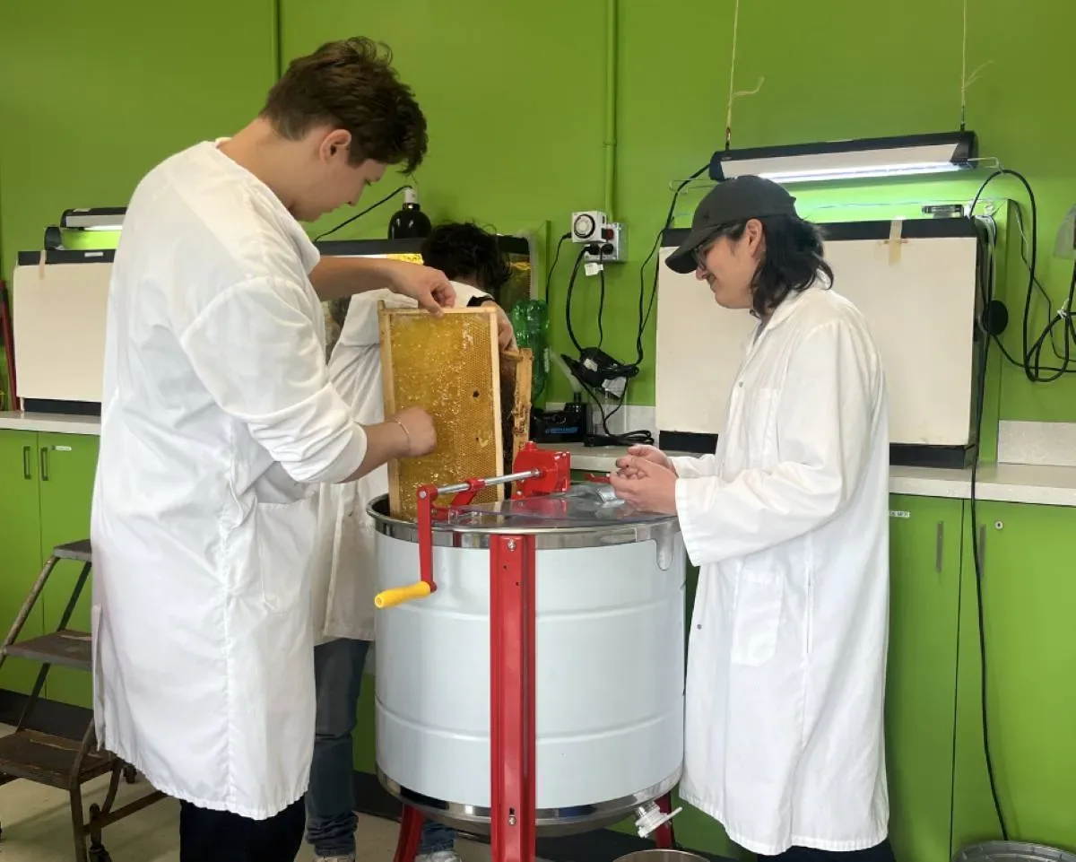 Projet de rushe de miel des personnes étudiantes