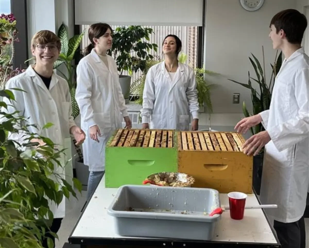 Rushes d'abeilles des personnes étudiantes en science de la nature