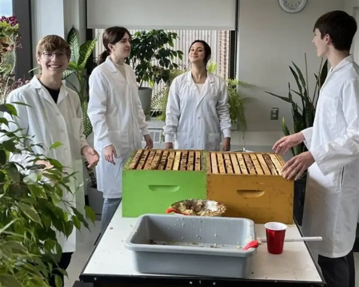 Rushes d'abeilles des personnes étudiantes en science de la nature