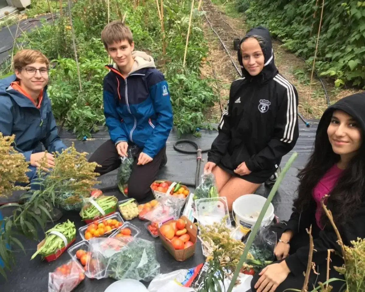 Personnes étudiantes collecte du potager