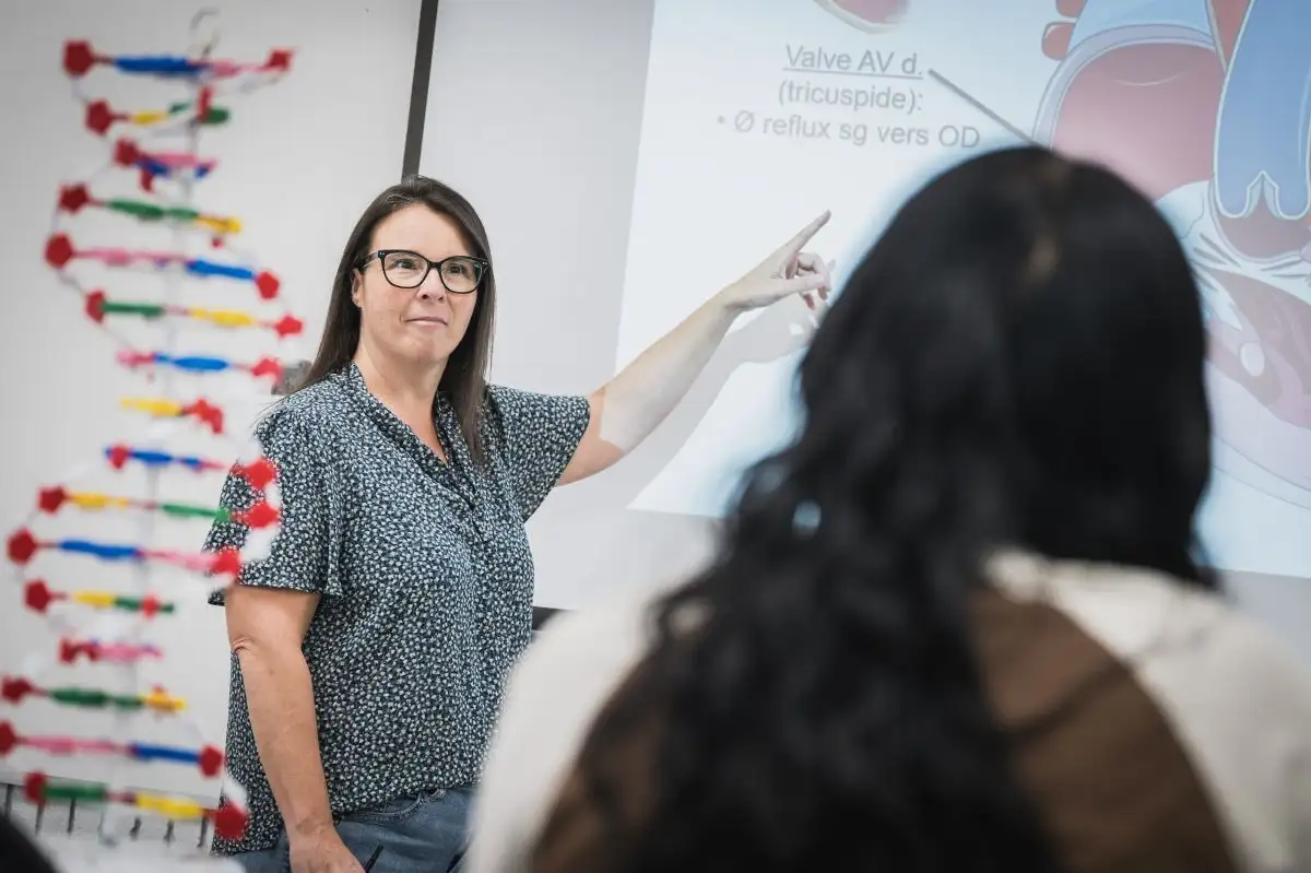 Enseignante au tableau