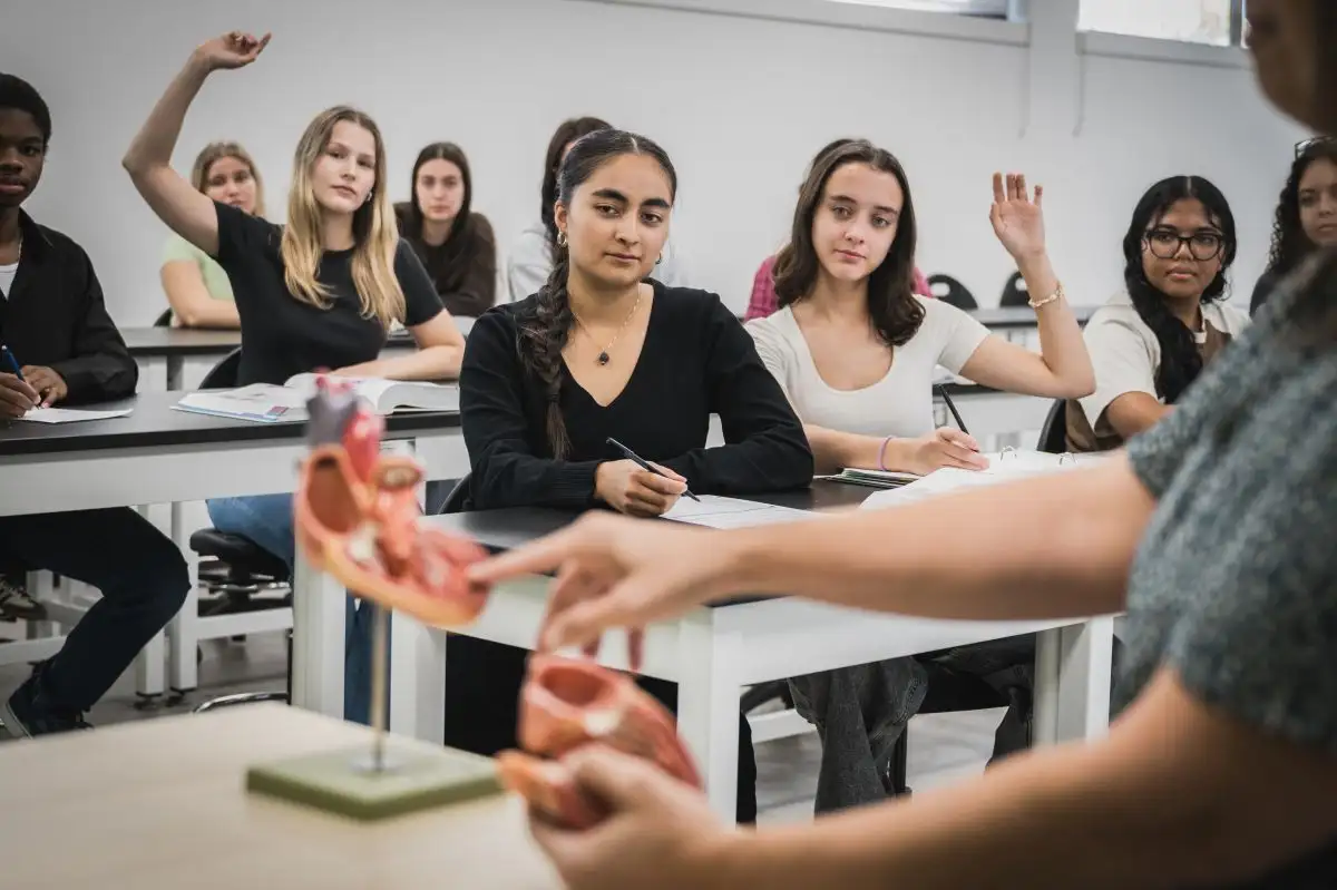 Personnes étudiantes qui lèvent la main en classe
