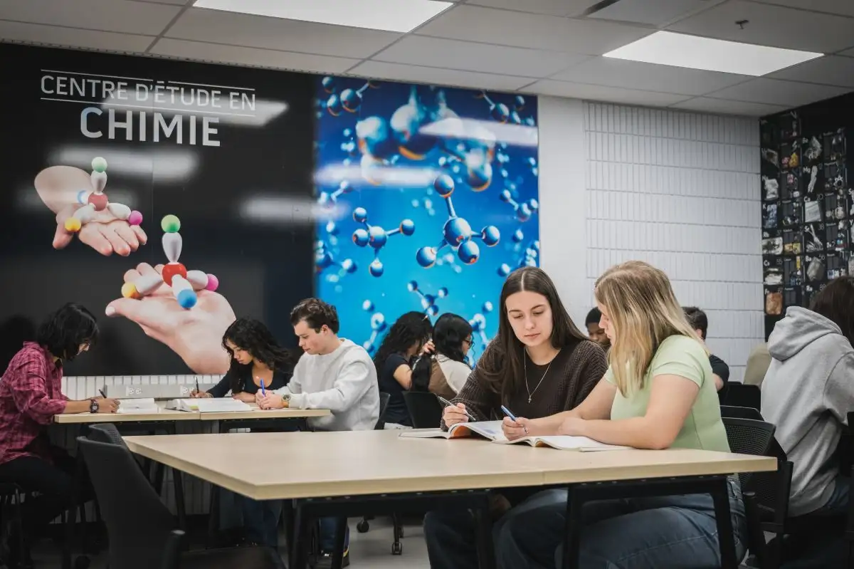 Personnes étudiantes qui révisent au centre d'étude de chimie