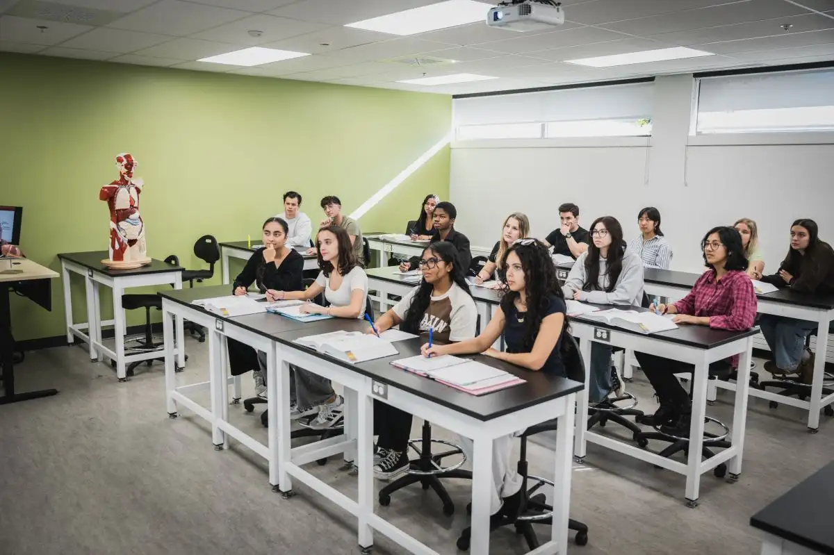 Personnes étudiantes en classe