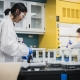 Personnes étudiantes en laboratoires