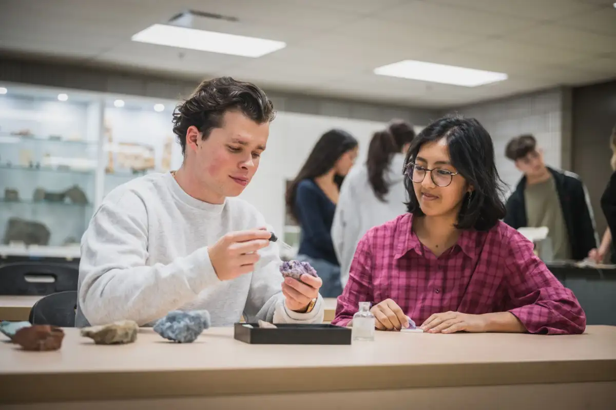 Deux personnes étudiantes qui étudient des roches