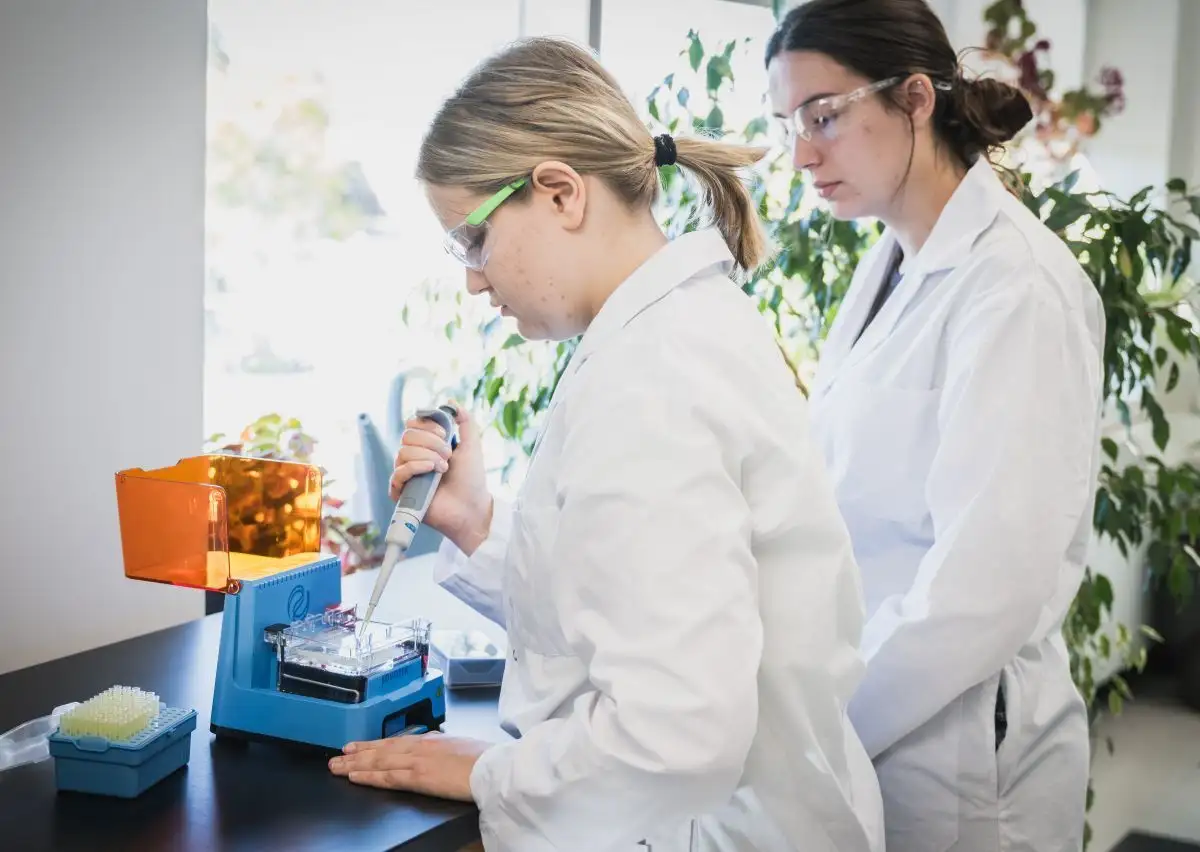 Personnes étudiantes qui font une expérience