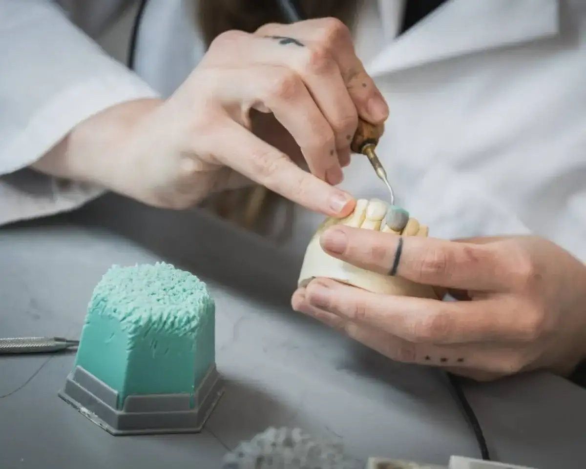 Personne étudiante qui taille des dents