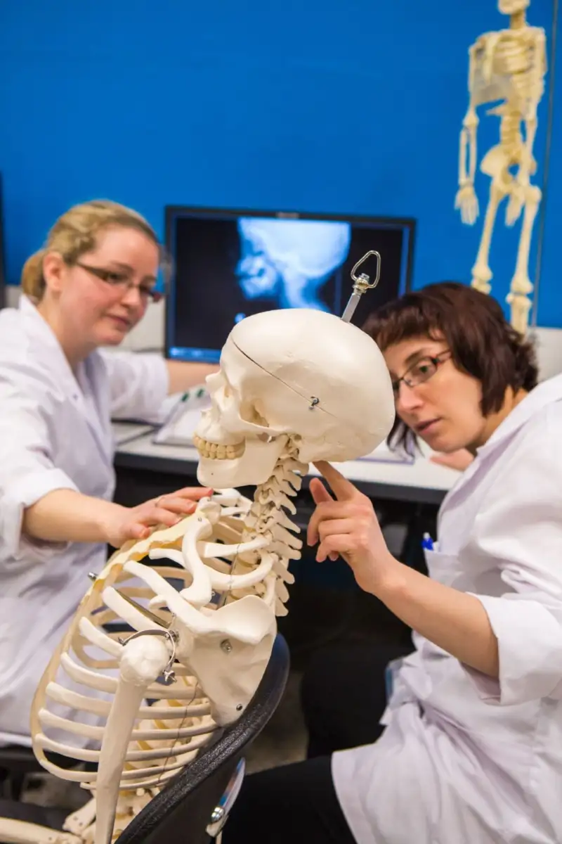 Deux étudiantes qui étudient un squelette en face d'un ordinateur