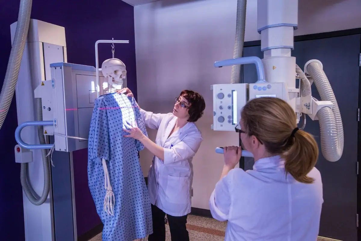 Personnes étudiantes qui effectuent des radios sur un squelette