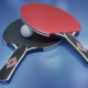 Raquettes de tennis de table